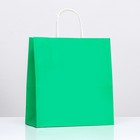 Пакет крафт «Радуга», зелёный, 25 х 12 х 27 см, 80 г/м2, 1 шт - фото 7134138