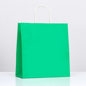 Пакет крафт "Радуга", зелёный, 25 х 12 х 27 см, 80 г/м2