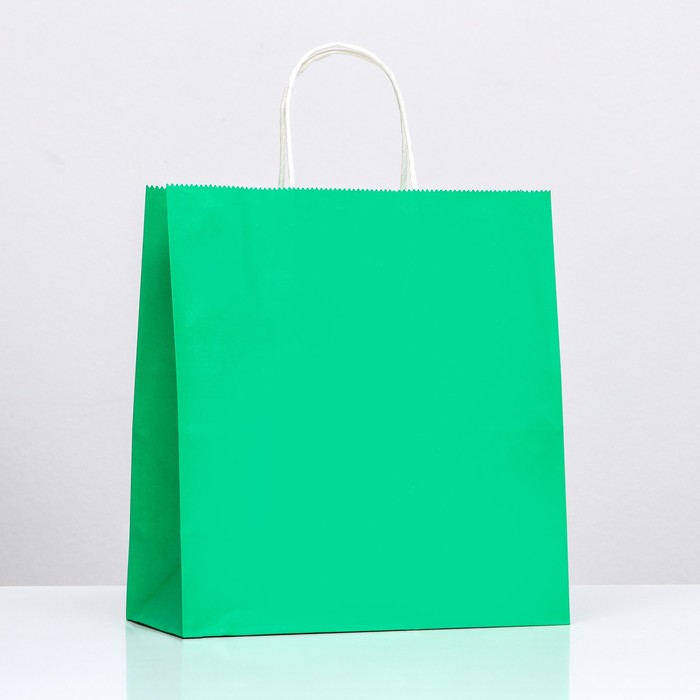 Пакет крафт «Радуга», зелёный, 25 х 12 х 27 см, 80 г/м2, 1 шт