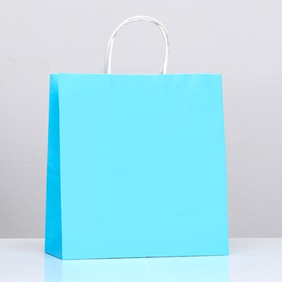 Пакет крафт «Радуга», голубой, 25 х 12 х 27 см, 80 г/м2, 1 шт