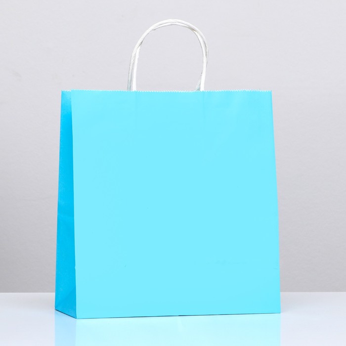 Пакет крафт «Радуга», голубой, 25 х 12 х 27 см, 80 г/м2, 1 шт - Фото 1