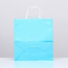 Пакет крафт «Радуга», голубой, 25×12×27 см, 80 г/м², 1 шт. - Фото 2