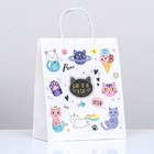 Пакет подарочный крафт «Коты», 22×12×27 см, крученая ручка, 1 шт. - Фото 1