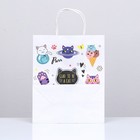 Пакет подарочный крафт «Коты», 22×12×27 см, крученая ручка, 1 шт. - Фото 2