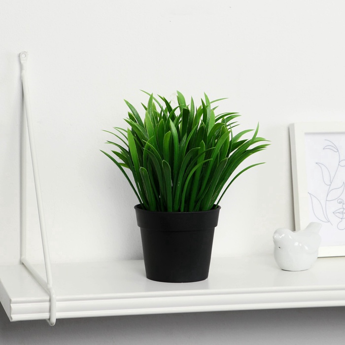 Искусственный цветок в горшке «Амазонка», 8×20 см - Фото 1