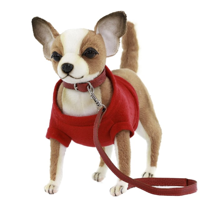 Собака чихуахуа, в красной футболке, 24 см