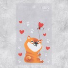 Наклейки на телефон «Корги», 8 × 14 см - фото 51465455 Наклейки на телефон «Корги», 8 × 14 см - фото 51465455