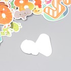 Наклейки для творчества "Звериные цифры" набор 48 шт 4х8 см - фото 22607804