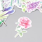 Наклейки для творчества "Полевые цветы" набор 50 шт 4х8 см - Фото 2