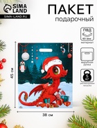 Пакет подарочный новогодний «Красивый Дракоша», полиэтиленовый с вырубной ручкой, 45×38 см, 60 мкм - Фото 1