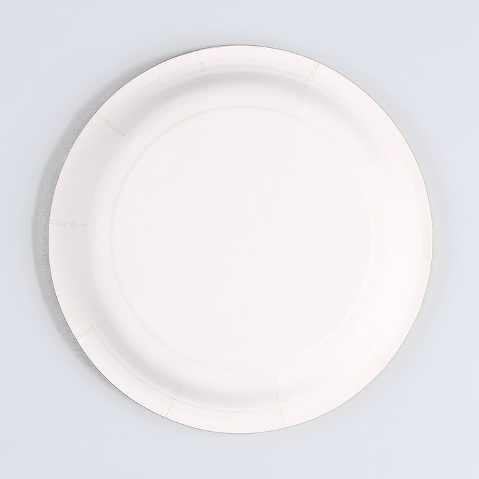 Тарелка бумажная «С днём рождения», утка, 18 см 9796332