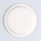 Тарелка одноразовая бумажная "С Днём Рождения",котики, 18 см (комплект 10 шт) - фото 35955615