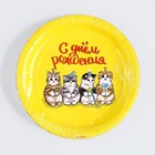 Тарелка одноразовая бумажная "С Днём Рождения",котики, 18 см (комплект 10 шт) - фото 35955616