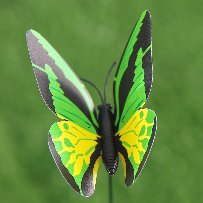 Бабочка декоративная статуэтка. Декоративные бабочки. Бабочки по 12 штук. Репейница обыкновенная. Бабочки 7.