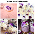 Цветы съедобные «Виола светло-фиолетовая» для капкейков, тортов, куличей, напитков, 5 шт. - Фото 6