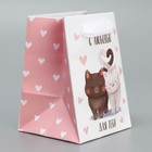Пакет подарочный ламинированный, упаковка, «Котики», 7 х 10 х 7 см - Фото 4