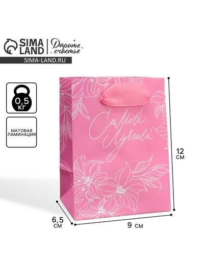 Пакет подарочный ламинированный, упаковка, «Самой лучшей», 9 х 12 х 6.5 см