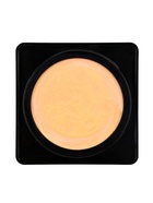 Крем-кушон тональный 3 в 1 (консилер, ВВ крем, пудра) - Фото 8