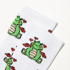 Носки женские KAFTAN "Дракоша" р. 36-39 (23-25 см) - фото 22642263