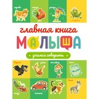 Главная книга малыша «Учимся говорить», 96 страниц - фото 319774481