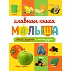 Главная книга малыша «Овощи, фрукты и многое другое», 96 страниц 9903198 - фото 10790861