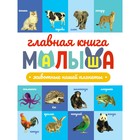 Главная книга малыша «Животные нашей планеты», 96 страниц 9903199 - фото 10790866