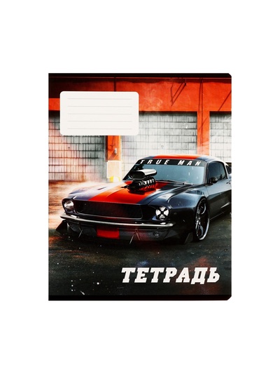 Комплект тетрадей из 10 штук, 24 листа в линию Calligrata Street racing, обложка мелованный картон, ВД-лак, блок офсет, 5 видов по 2 штуки