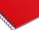 Тетрадь на гребне A4 48 листов в клетку Calligrata Красная, пластиковая обложка, блок офсет - Фото 3