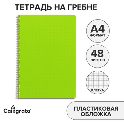 Тетрадь на гребне A4 Calligrata 48 листов в клетку "Салатовая", пластиковая обложка, блок офсет МИКС