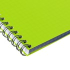 Тетрадь на гребне A4 60 листов в клетку Calligrata Зелёная, пластиковая обложка, блок офсет - Фото 3