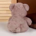 Мягкая игрушка «Мишка», 23 см, цвет бежевый - фото 22807137