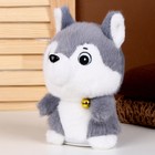Мягкая игрушка-повторюшка «Хаски», 18 см - фото 24427772