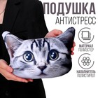 Антистресс-подушка «Серый кот» - фото 2677856