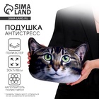 Подушка декоративная антистресс, кошка «Дуся» - Фото 1