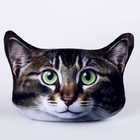 Подушка декоративная антистресс, кошка «Дуся» - Фото 2