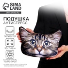 Подушка декоративная антистресс, кошка «Бобтейл» - Фото 1
