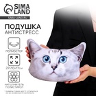 Подушка декоративная антистресс, кошка «Британец» - Фото 1