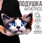 Антистресс-подушка «Невская» - фото 108984821