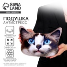 Подушка декоративная антистресс, кошка «Невская» - Фото 1