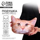 Подушка декоративная антистресс, кошка «Рыжий» - Фото 1