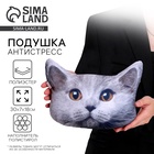 Подушка декоративная антистресс, кот «Британец» - Фото 1