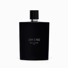 Парфюмерная вода мужская BOULEVARD PARIS CHAMP DE MARS EAU DE PARFUM, 100 мл - фото 24255293