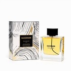 Парфюмерная вода мужская BOULEVARD PARIS HAUSSMANN EAU DE PARFUM, 100 мл 9902006 - фото 10820818