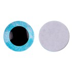 Глаза на клеевой основе, набор 10 шт., размер 1 шт. — 20 мм, цвет голубой с блёстками - фото 320038896