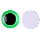 Глаза на клеевой основе, набор 10 шт., размер 1 шт. — 16 мм, цвет зелёный - фото 296568387