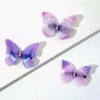 Заколки-бабочки для волос "Девушка", 3 шт., 3 х 3,5 х 1см - фото 7334224