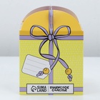 Домик-переноска для птиц и грызунов «Подарок» 9619135