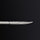 Ножницы маникюрные «Premium», загнутые, широкие, заострённые, 9,5 см, на блистере, цвет серебристый - фото 8951679