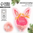 Подарочный набор новогодний для девочки «Самой прекрасной», ободок и резинка для волос - Фото 1