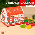 Леденцы в домике «Тепла и уюта» с соком, вкус: ассорти, 100 г. - фото 10820995